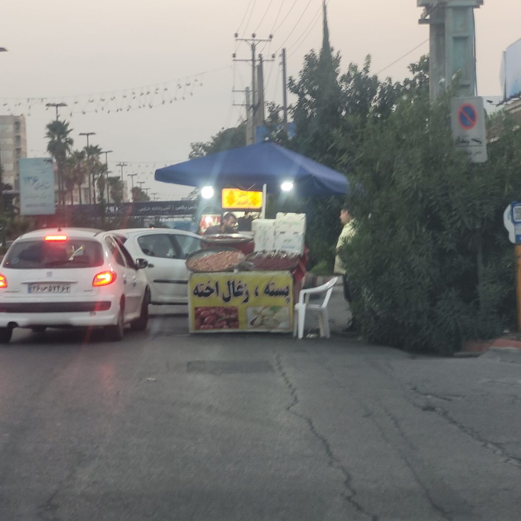 پسته خام، ذغال اخته سیار