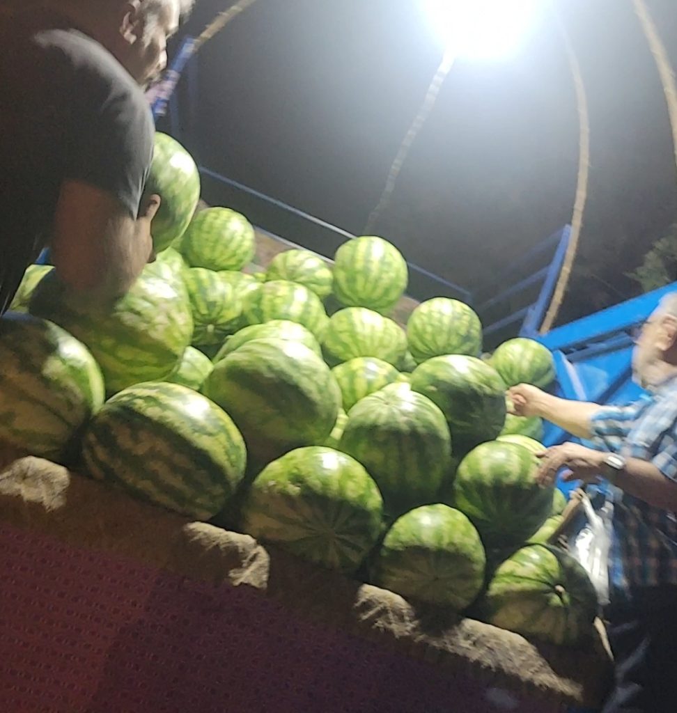 هندوانه وانتی