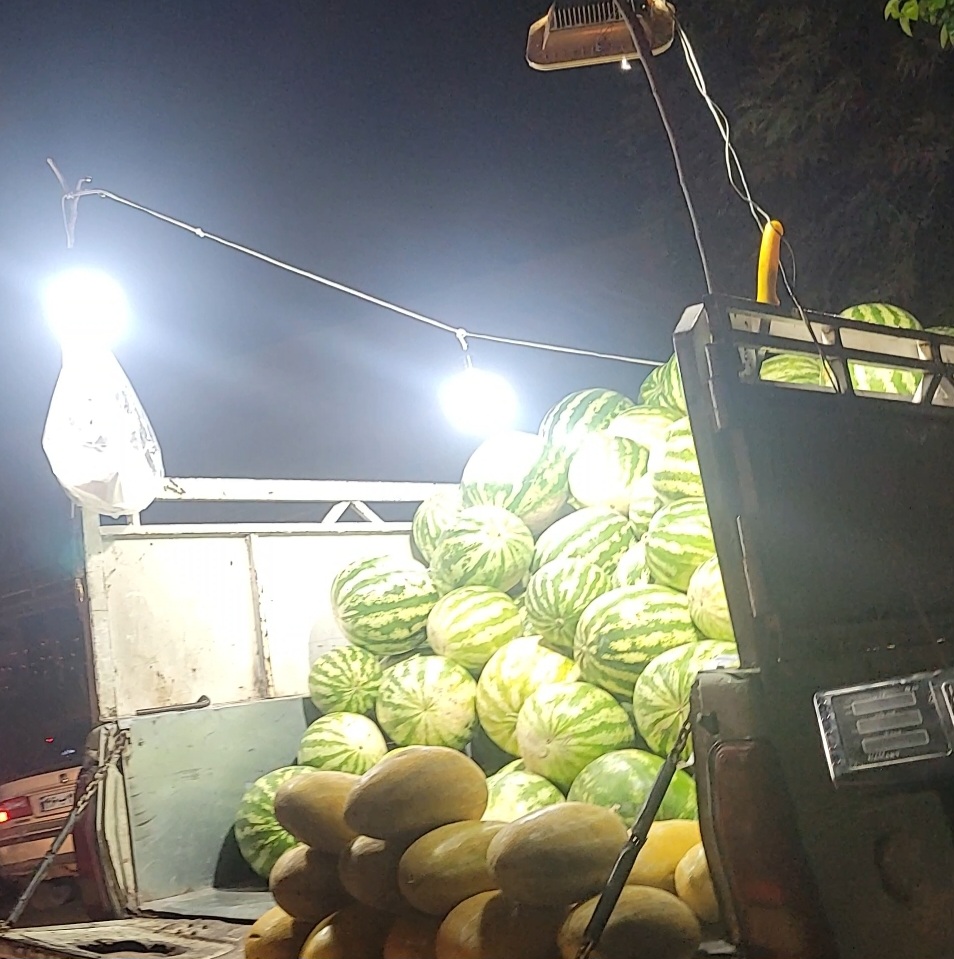 هندوانه، خربزه مشهدی