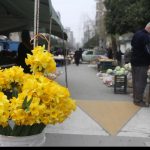 پنجشنبه بازار ساری