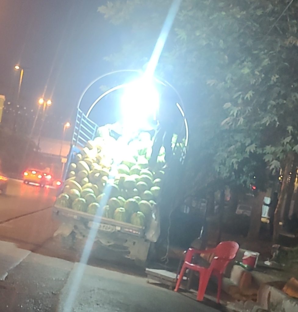 هندوانه ، خربزه وانتی