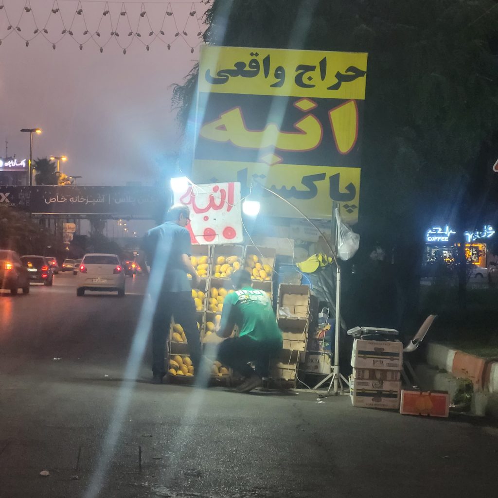 حراج انبه پاکستاتی